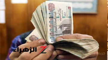 بشرى للموظفين.. قرار رئاسي بصرف 1000 جنيه حافزًا في هذه الجهات 1